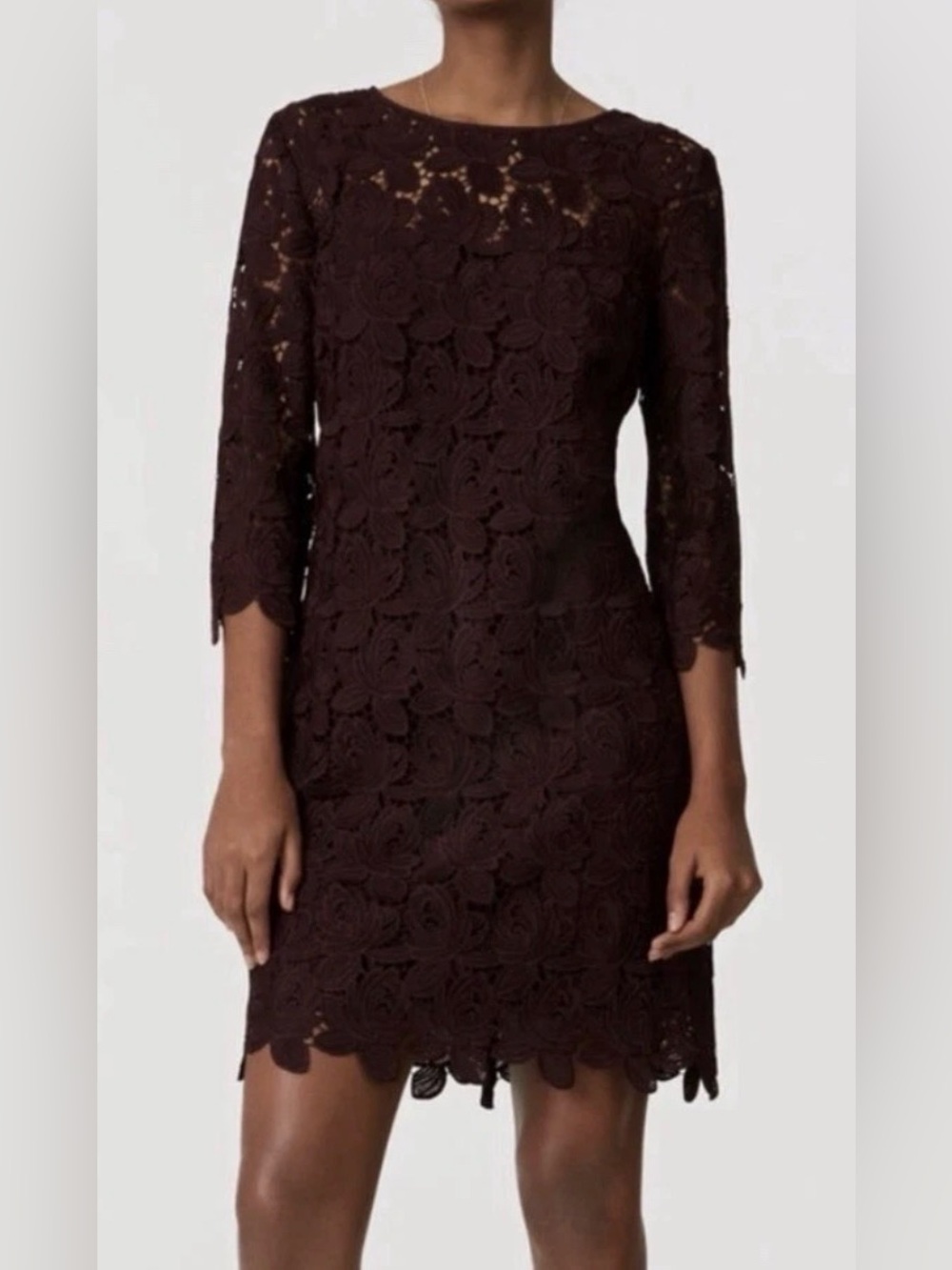 LOFT maroon  Lace Mini Dress